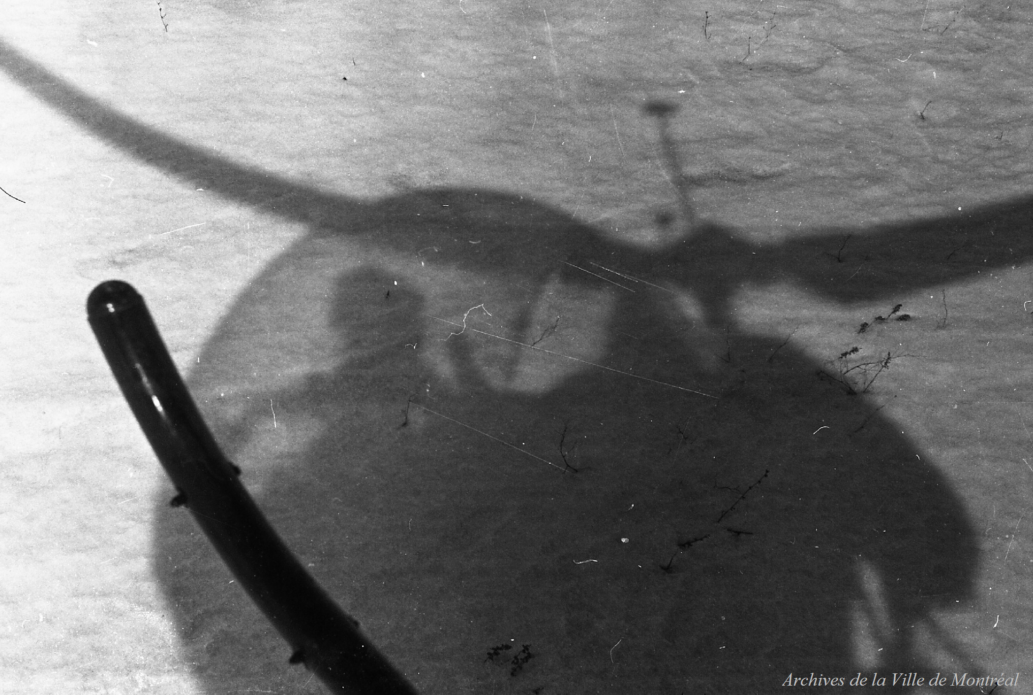 Vues diverses / Maurice Macot . - 3 mars 1966