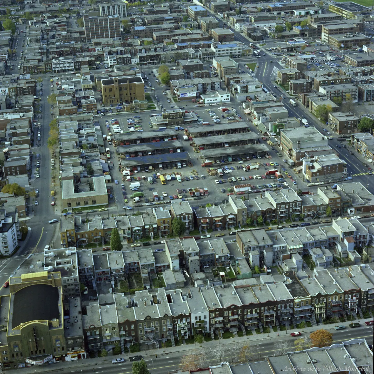 Rue de Montréal avec des bâtiments hauts, des voitures garées et un parc en arrière-plan